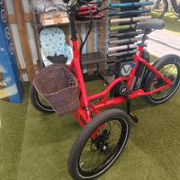 Bicicletta  a tre ruote Etnnic adventure
