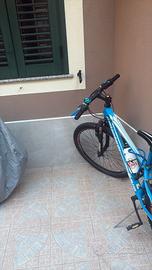 bicicletta 