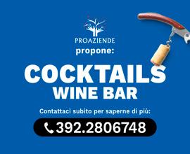 Cocktail piatti unici panini pizze gourmet. PR022