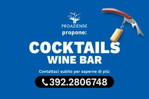 Cocktail piatti unici panini pizze gourmet. PR022