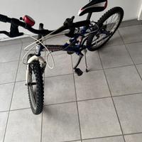 Bicicletta raggio 20