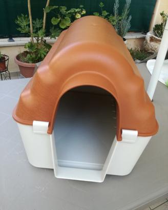 Cuccia