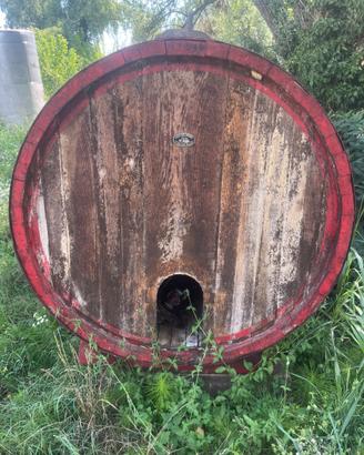 Botte