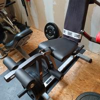 Leg Extension/Curl Body Solid