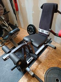 Leg Extension/Curl Body Solid