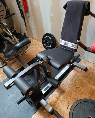 Leg Extension/Curl Body Solid