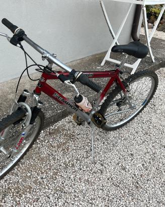 Bicicletta Sempion, modello Pegasus