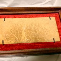 Trio di quadri con fossili vari