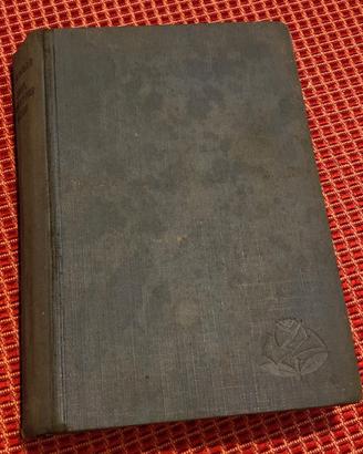 Romanzo 1938 John Chauffeur russo