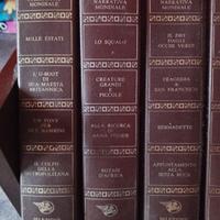 selezione della narrativa mondiale