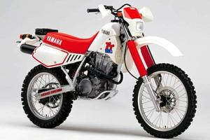 TELAIO TARGATO YAMAHA TTR 350 1986 1997