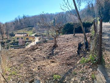 Terreno a Carpineto