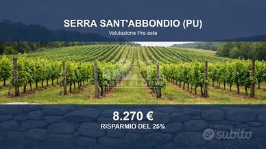 Immobile in asta di 11029 m² a Serra Sant'Abbondio