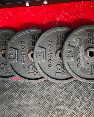 2x dischi da 10kg