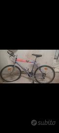 Mountain Bike Legnano Trophy