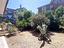 Immagine 14