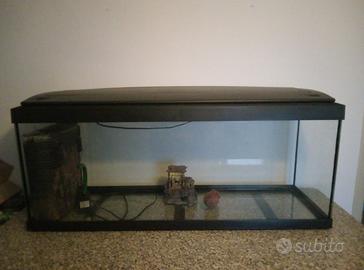 Acquario da 100 litri 