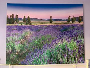 Quadro tela grande  "Campo di lavanda", 140x180