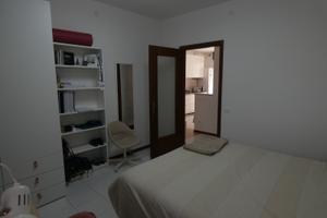 Appartamento e/o tre camere a studenti