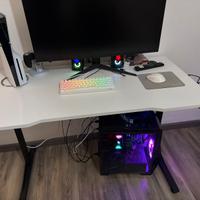 Computer gaming scrivania e monitor