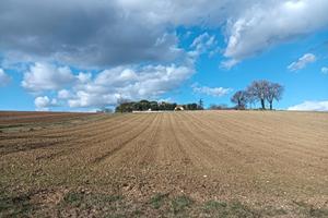 Terreno Agricolo a Montecassiano