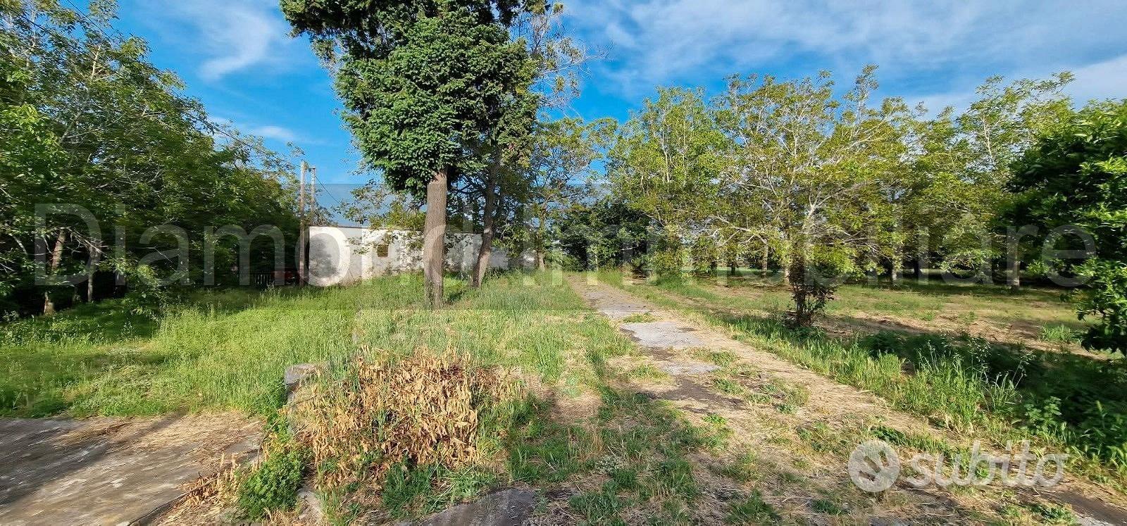Fabbricato con terreno a Piedimonte Etneo - Vista 4