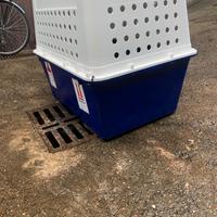 trasportino per cane