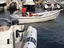 Immagine 24