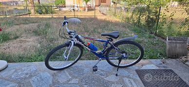 Bicicletta
