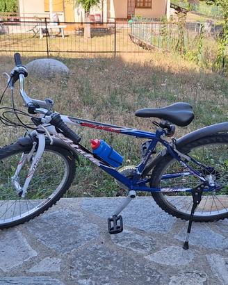 Bicicletta