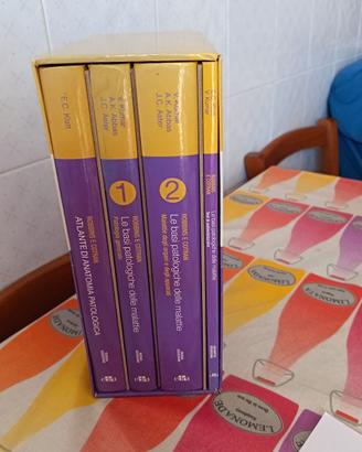 Robbins anatomia patologica