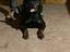 Immagine 5