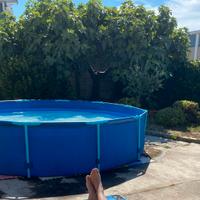 Piscina  fuori terra