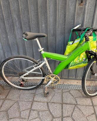 Mtb pininfarina