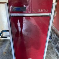 Caldaia a pellet Selecta