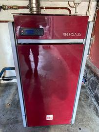 Caldaia a pellet Selecta