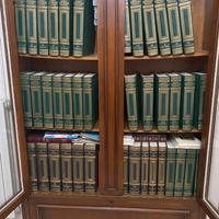 Enciclopedia Treccani Lessico e Novecento