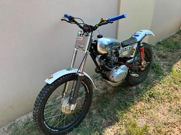 triumph cub t20 trial
