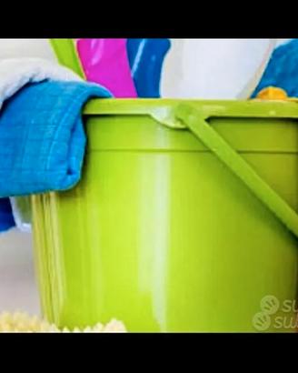 lavoro domestico pulizie badante 