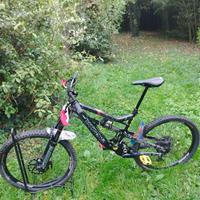 Rose Soul Fire 2  tg L 27.5