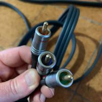Cavo video component 5 metri alta qualità