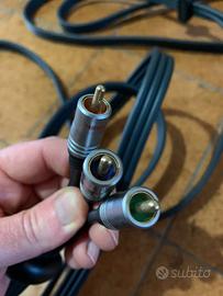 Cavo video component 5 metri alta qualità