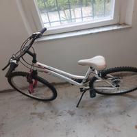 montain bike bicicletta donna