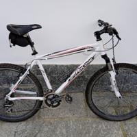 Mountain bike adulto