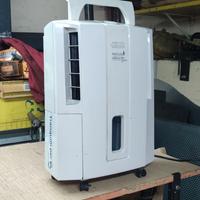 De’Longhi Deumidificatore come nuovo –  80 €