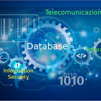 Analista programmatore, DBA, Sistemista, Reti