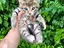Immagine 4