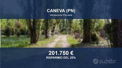 Immobile in asta di 11048 m² a Caneva