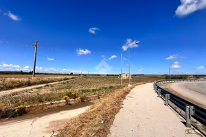 TER. AGRICOLO A SAN SEVERO