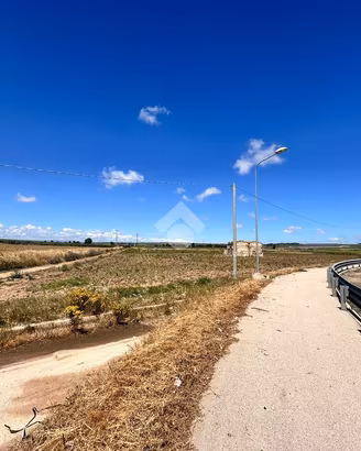 TER. AGRICOLO A SAN SEVERO
